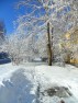 ''Зима в апреле''. Фото Яковлевой Г.В.