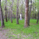 ''Весна. Пробуждение (парк им. 1 Мая)''. Фото Пиняковой Н.И.