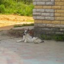 ''В ожидании друзей''. Фото Суслина Андрея