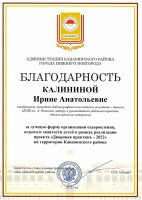 Благодарность администрации Канавинского района за реализацию проекта ''Дворовая практика - 2022''. Сентябрь 2022 года
