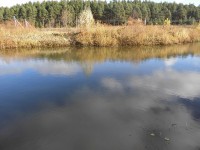 15 октября. Удивительное рядом! Автор Галина Ивановна Медяева, п. Шатки Нижегородской области