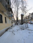 17 декабря. Благоустройство по-российски. Обрубок, оставшийся после ''стрижки'' красивой здоровой березы. Автор Галина Васильевна Яковлева
