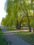 30 октября. Поздней осени порою... Автор Татьяна Шепелева