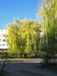 30 октября. Поздней осени порою... Автор Татьяна Шепелева
