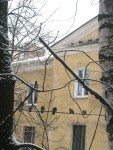 22 декабря. Летите, голуби, летите! В ожидании завтрака. Автор Татьяна Шепелева