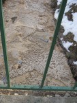 28 декабря. Сортирград. Зона экологического бедствия. Автор Татьяна Шепелева