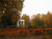 10 октября. Пышное природы увяданье... Автор Марина Вашаткина