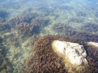 29 сентября. Всемирный день моря. Чёрное море у берегов Крыма. Автор Лариса Шумилина