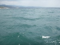 29 сентября. Всемирный день моря. Чёрное море у берегов Крыма. Автор Лариса Шумилина
