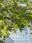 30 апреля. Почти Голландия! Автор Елена Булатова, г. Белгород