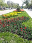 30 апреля. Почти Голландия! Автор Елена Булатова, г. Белгород