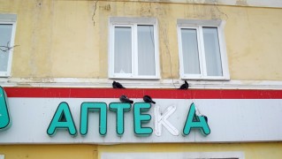 13 января. Зябко... Автор Марина Вашаткина
