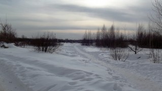 12 января. Следы на снегу. Автор Марина Вашаткина