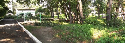 28 июня. Стихийное бедствие. Старый, поваленный порывистым ветром тополь. Автор Татьяна Шепелева