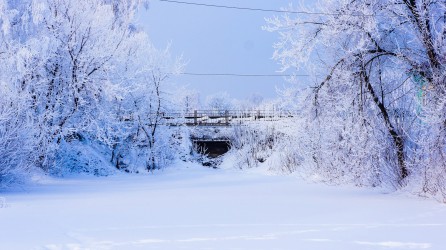 28 февраля. ''Пруд моей мечты''. Автор Сергей Потехин, г. Урень Нижегородской области