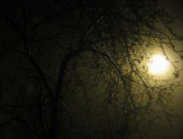 5 мая. Ночной туман. Автор Татьяна Шепелева