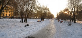 14 февраля. Мусор в сквере ''Мать и дитя''. Автор Татьяна Шепелева