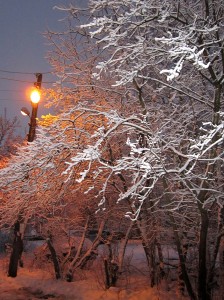 22 января. Один день. Автор Галина Васильевна Яковлева