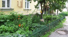 19 июня. Ландшафтный дизайн своими руками. Автор Татьяна Шепелева