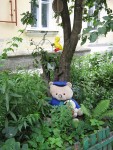 19 июня. Ландшафтный дизайн своими руками. Автор Татьяна Шепелева