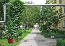 19 июня. Ландшафтный дизайн своими руками. Автор Татьяна Шепелева