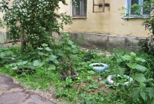 19 июня. Ландшафтный дизайн своими руками. Автор Татьяна Шепелева