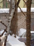 2 февраля. Снежные искры. Автор Татьяна Шепелева