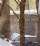 2 февраля. Снежные искры. Автор Татьяна Шепелева