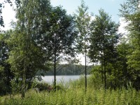 11 июля. Озеро Светлояр, Воскресенский район Нижегородской области. Автор Марина Вашаткина