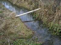 22 марта. Всемирный день водных ресурсов (День воды). Ручеёчек-ручеёк
