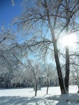 2 апреля. Многоликий апрель. Возвращение зимы. Автор Галина Васильевна Яковлева. 2012 год