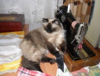 Муся-швея. Автор Галина Васильевна Яковлева