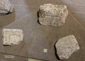 Обломки белокаменных надгробий XVI века с некрополя Никольской Верхнепосадской церкви. Белый камень. Из раскопок на Театральной площади. Фото Татьяны Шепелевой. 24 сентября 2014 года