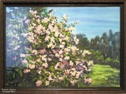 Куст жасмина. Акварель. 2015. Худ. Величко В.Н.. Фото Татьяны Шепелевой