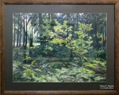Луч солнца. Акварель. 2014. Худ. Величко В.Н.. Фото Татьяны Шепелевой