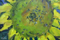 Татьяна Яковлева. Подсолнухи. Фрагмент. Холст, масло. Фото Татьяны Шепелевой