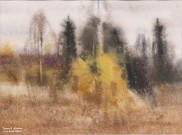 Александр Терентьев. Осенний мотив. Бумага, акварель. 2016 г. Фото Татьяны Шепелевой