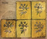 Старинные изразцы из собрания Музея истории художественных промыслов Нижегородской области. Фото Татьяны Шепелевой. Май 2016 года
