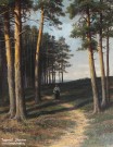 Клодт М.К. (1832 – 1902). Сосновый лес. Фрагмент. 1870-е. Мемориальный музей В.Т. Шаламова, Вологда. Фоторепродукция Татьяны Шепелевой