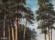 Клодт М.К. (1832 – 1902). Сосновый лес. Фрагмент. 1870-е. Мемориальный музей В.Т. Шаламова, Вологда. Фоторепродукция Татьяны Шепелевой
