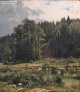 Шишкин И.И. (1832 – 1898). Луг на опушке леса. Сиверская. Фрагмент. Музей пейзажа. Плёс. Фоторепродукция Татьяны Шепелевой