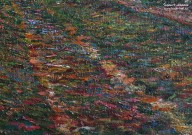 Переплетчиков В.В. (1863 – 1918). Глухомань. Дорога у деревни. - Дорожная колея