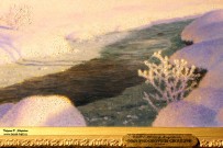 Иван Шультце. Зимнее утро, Санкт-Мориц. Фрагмент. Ок. 1927-1930 г. Холст, масло. Фоторепродукция Татьяны Шепелевой