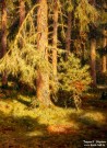Иван Шультце. Утреннее солнце. Фрагмент. 1915. Холст, масло. Фоторепродукция Татьяны Шепелевой