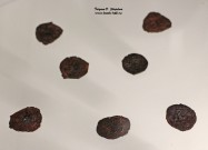Монеты из клада: пулы Нижегородского княжества (1380-1390 гг.; медный сплав) Монеты из клада: пулы Нижегородского княжества (1380-1390 гг.; медный сплав)