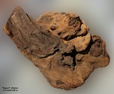 Кусок дерева из мастерской скульптора Степана Эрьзи. Мордовский республиканский музей изобразительных искусств им. С.Д. Эрьзи. Саранск. Фото Татьяны Шепелевой