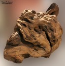 Кусок дерева из мастерской скульптора Степана Эрьзи. Мордовский республиканский музей изобразительных искусств им. С.Д. Эрьзи. Саранск. Фото Татьяны Шепелевой
