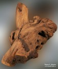 Кусок дерева из мастерской скульптора Степана Эрьзи. Мордовский республиканский музей изобразительных искусств им. С.Д. Эрьзи. Саранск. Фото Татьяны Шепелевой