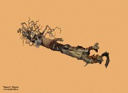 Никита Алексеев. Корень агавы в апельсиновом небе. Фрагмент. 2020. Бумага, акварель, тушь. Собрание Романа Бабичева. Москва. Фоторепродукция Татьяны Шепелевой