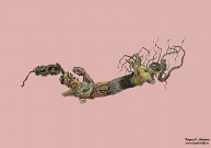 Никита Алексеев. From time to time things are getting abundan. Фрагмент. 2019. Бумага, акварель, тушь. Собрание Романа Бабичева. Москва. Фоторепродукция Татьяны Шепелевой